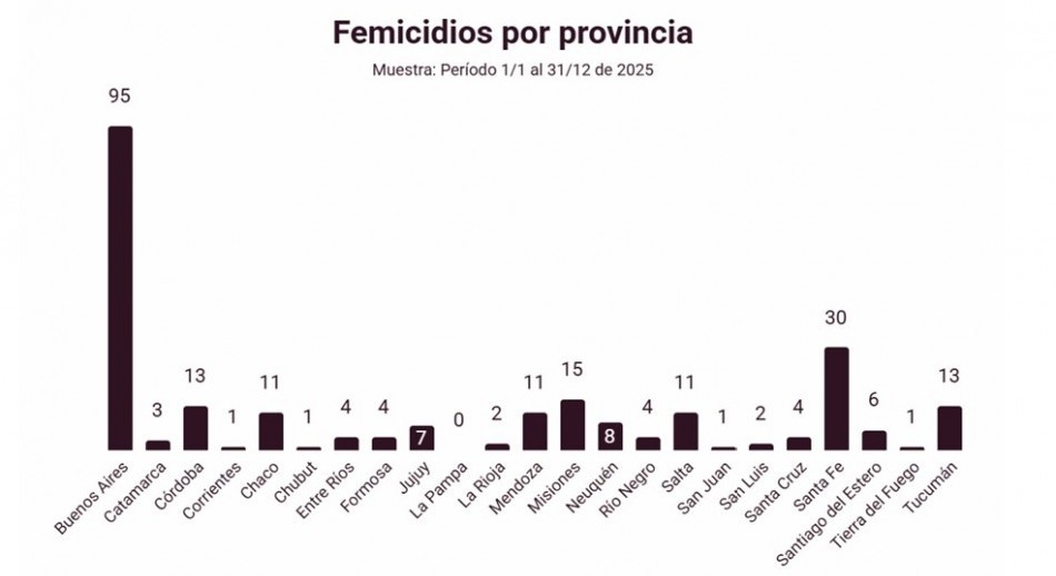 La Defensoría del Pueblo de la Nación registró 247 femicidios en 2025